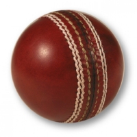 Cricket Ball
